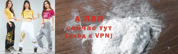 spice Горняк