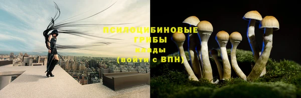 стафф Горно-Алтайск