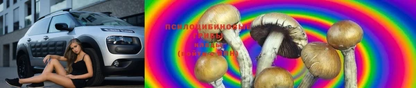 каннабис Гусиноозёрск
