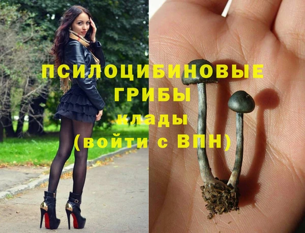 синтетический гашиш Гусь-Хрустальный