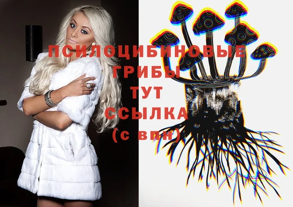 spice Горняк