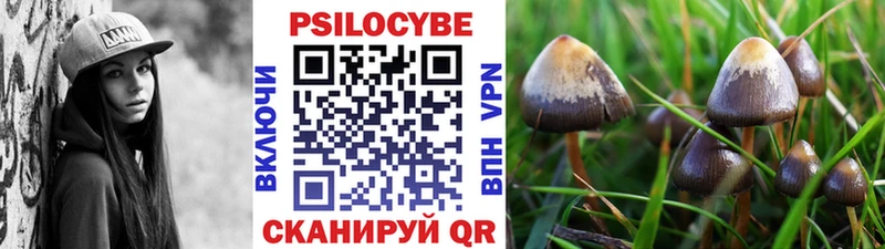 Галлюциногенные грибы MAGIC MUSHROOMS  Щёлково 